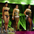 Belleza México Internacional 2012